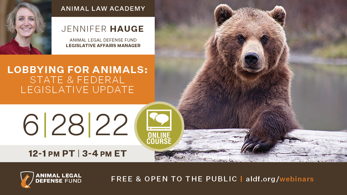 ALDF's tweet photo. Join us on June 28th for Lobbying for Animals: State &amp; Legislative Update. This webinar will update viewers on our 2022 work thus far to advance animal protection through lawmaking and more. Register here: https://t.co/k3YHJz0kfI https://t.co/zuUL9UkaBl
