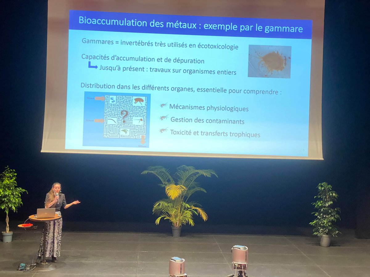 GestinOphelia's tweet photo. Pour la semaine "Écologie, Environnement et Biodiversité", aujourd'hui c'était le #DIPEE #NouvelleAquitaine #CentreValDeLoire à #Poitiers. Au programme : présentations courtes et bonne ambiance 🥂🦐💻
@LIENSsCNRSULR @UnivLaRochelle @INRAE_Clermont @UnivLyon1 @LbbeLyon @DR08_CNRS https://t.co/5GM6M1kRgX