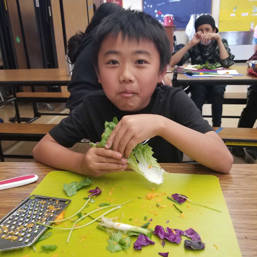 FoodLitCenter's tweet image. Our Students are cooking their favorite recipe this week - Lettuce Wraps and Ramen Noodles! 🌯🥡😋  

Our #STEMlessons teach and encourage students to eat in-season produce and how to find the amount of salt in foods.
 
#foodliteracycenter #seasonalproduce #healthykids #veggies