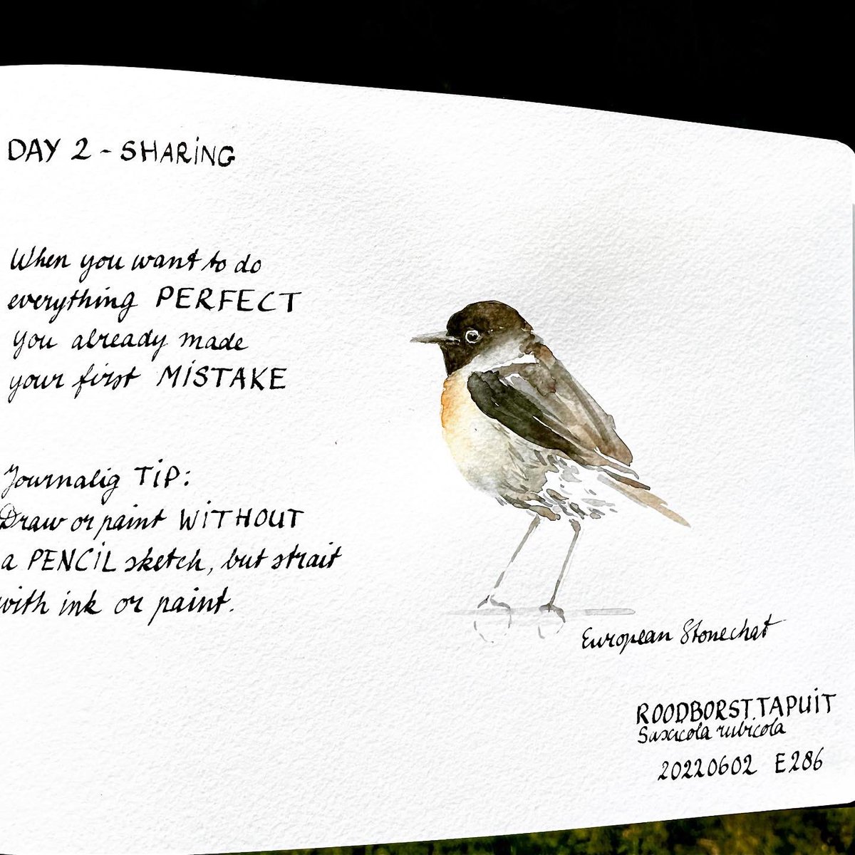 DoortjeVanDijk's tweet photo. nternational Nature Journaling Week
Op dag 2 deel ik een van mijn favoriete quotes: ‘Als je alles PERFECT wil doen, heb je de eerste FOUT al gemaakt.’ Mijn tip is om zónder potloodschets, maar direct met inkt of verf je natuurschets te maken. #internationalnaturejournalingweek https://t.co/V7chxrsWw3