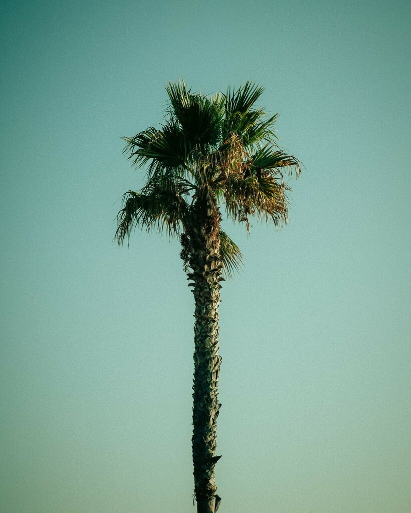 Double Tap to see more content that is tropical. Simple but beautiful.
Holiday is loading....
.
.
.
.
#cotedazur #cotedazurfrance #cotedazurnow #cotedazure #cotedazurtourisme #cotedazurefrance #cotedazurphoto #CoteDazurPhotographer #cotedazurcannes #cote… instagr.am/p/CeTzej5j77u/