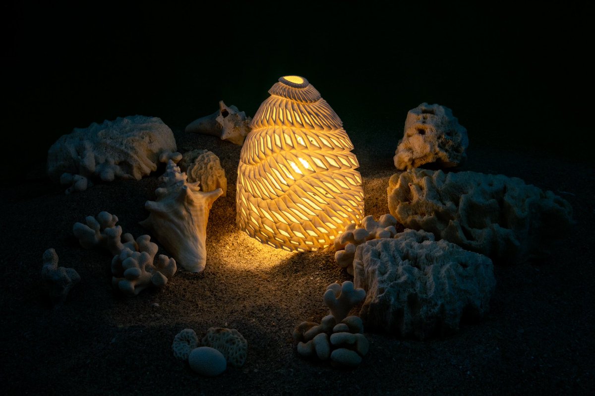 Oooooh who lives in a pineapple under the seaaa