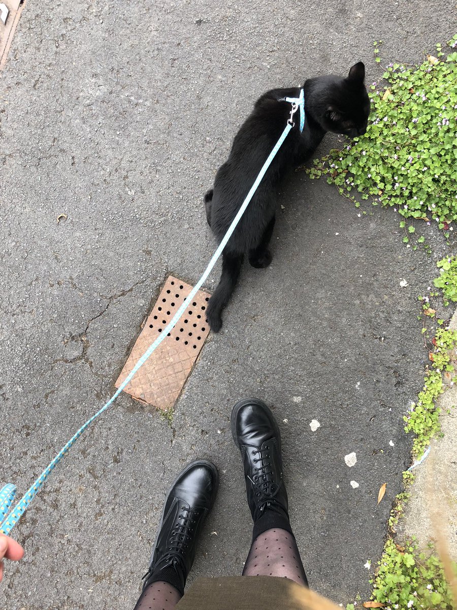 Me and Varo out on the town 🍀