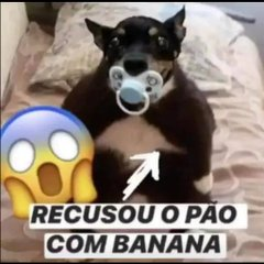 FertrinNicolas's tweet photo. @HandMikes https://t.co/6DYf0zJFW1