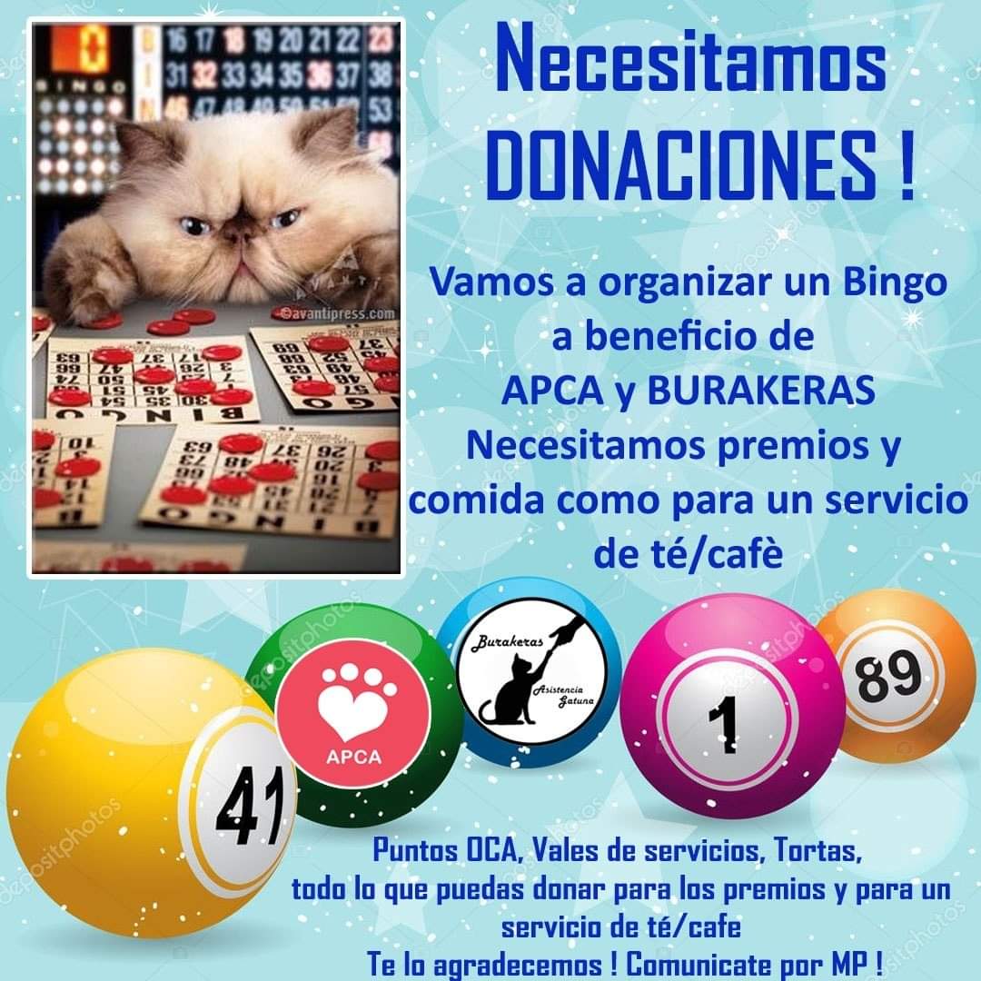 sangrado Comportamiento Visión general Twitter-এ Burakeras Asistencia Gatuna: "Queremos organizar un Bingo para  Julio..seguramente el 16 Para ello necesitamos donaciones para los  diferentes premios y sorteos. Desde vales de servicios (masajes, uñas,  peluquería), hasta electrodomésticos ...