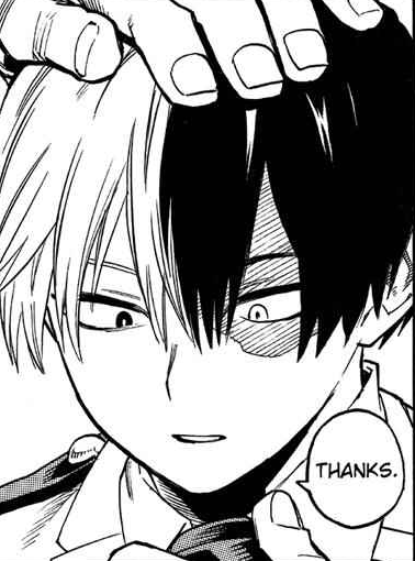 daily todoroki tweet media