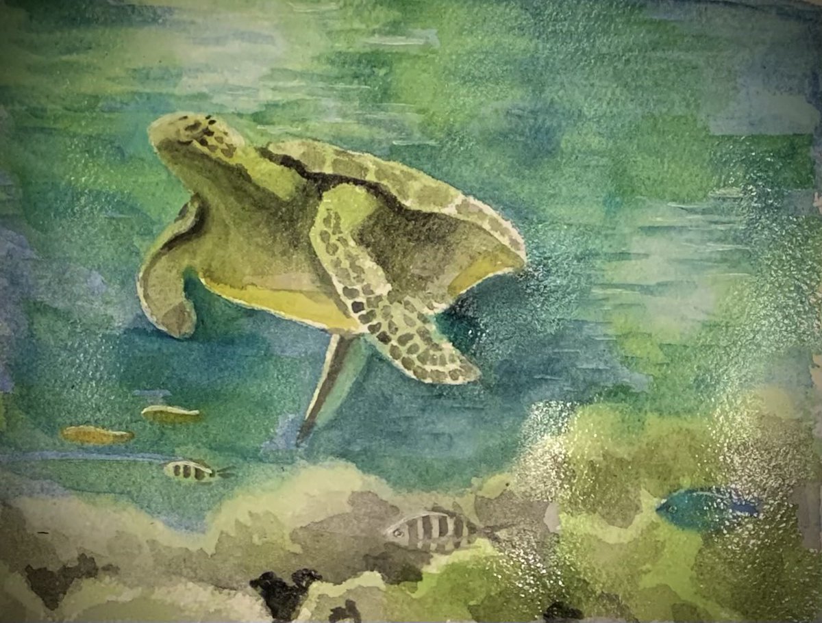 海亀 のイラスト マンガ作品 10 件 Twoucan 海亀 のイラスト マンガ作品 10 件 Twoucan