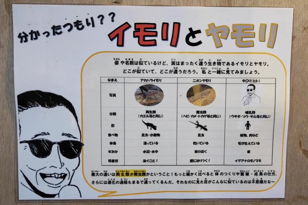 @hidekiccan 動物園って、のんびりウィットに富んだところですよね 