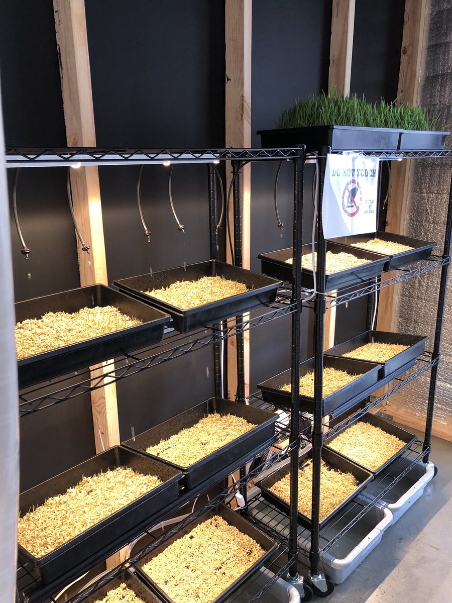 DaMD at LiU tweet media