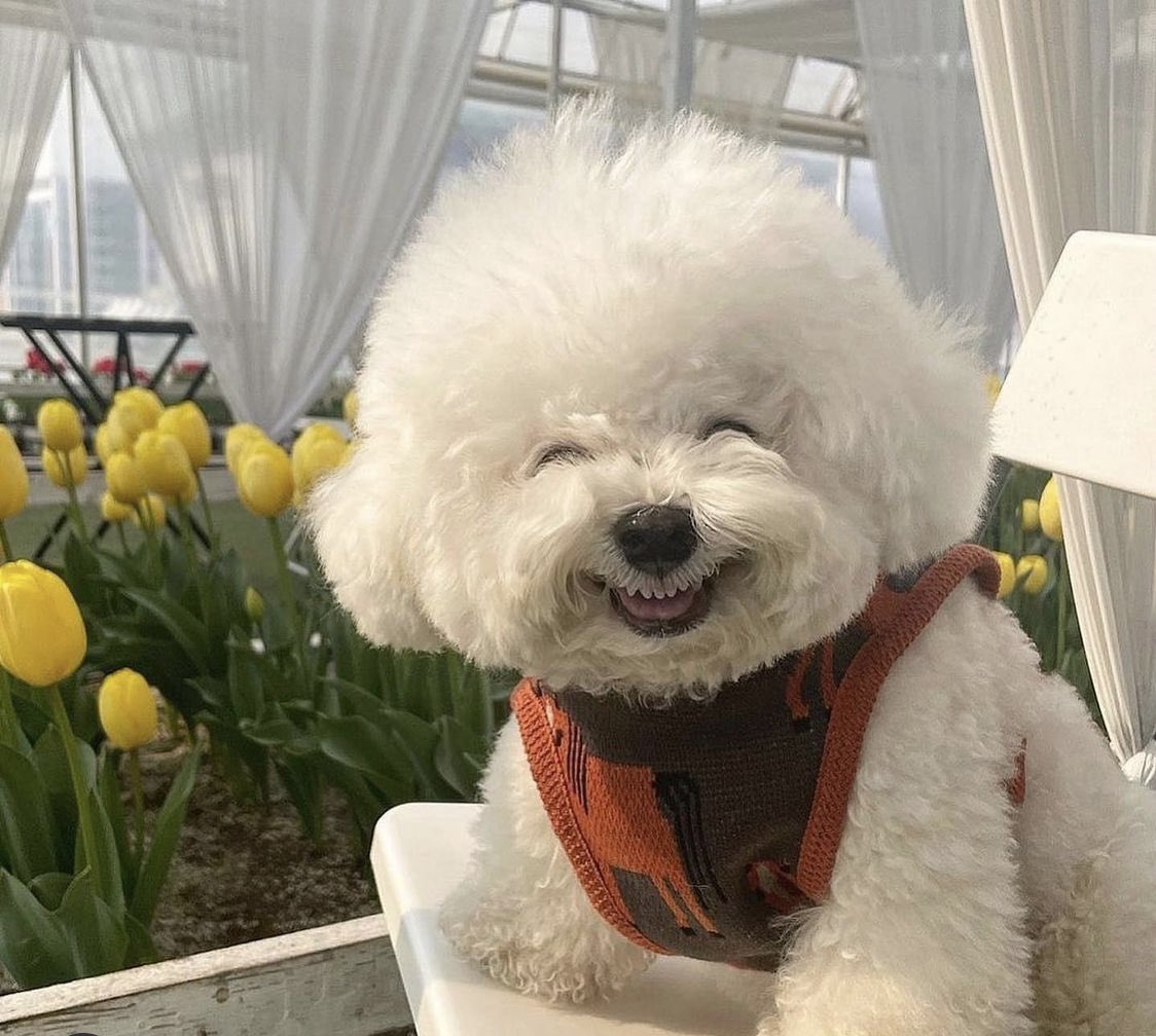 Rose Bud ☀️🌙✨ tweet media