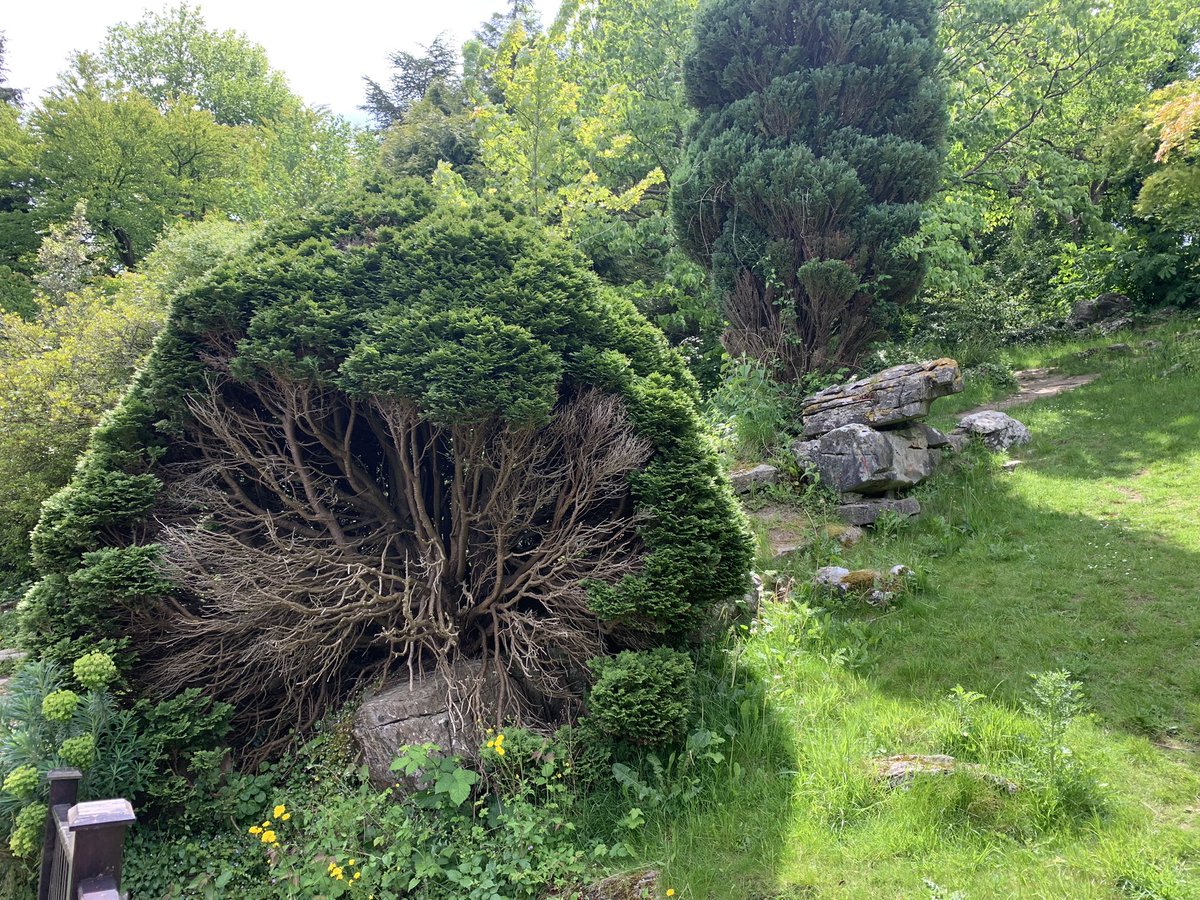 Nature is so beautiful 😘