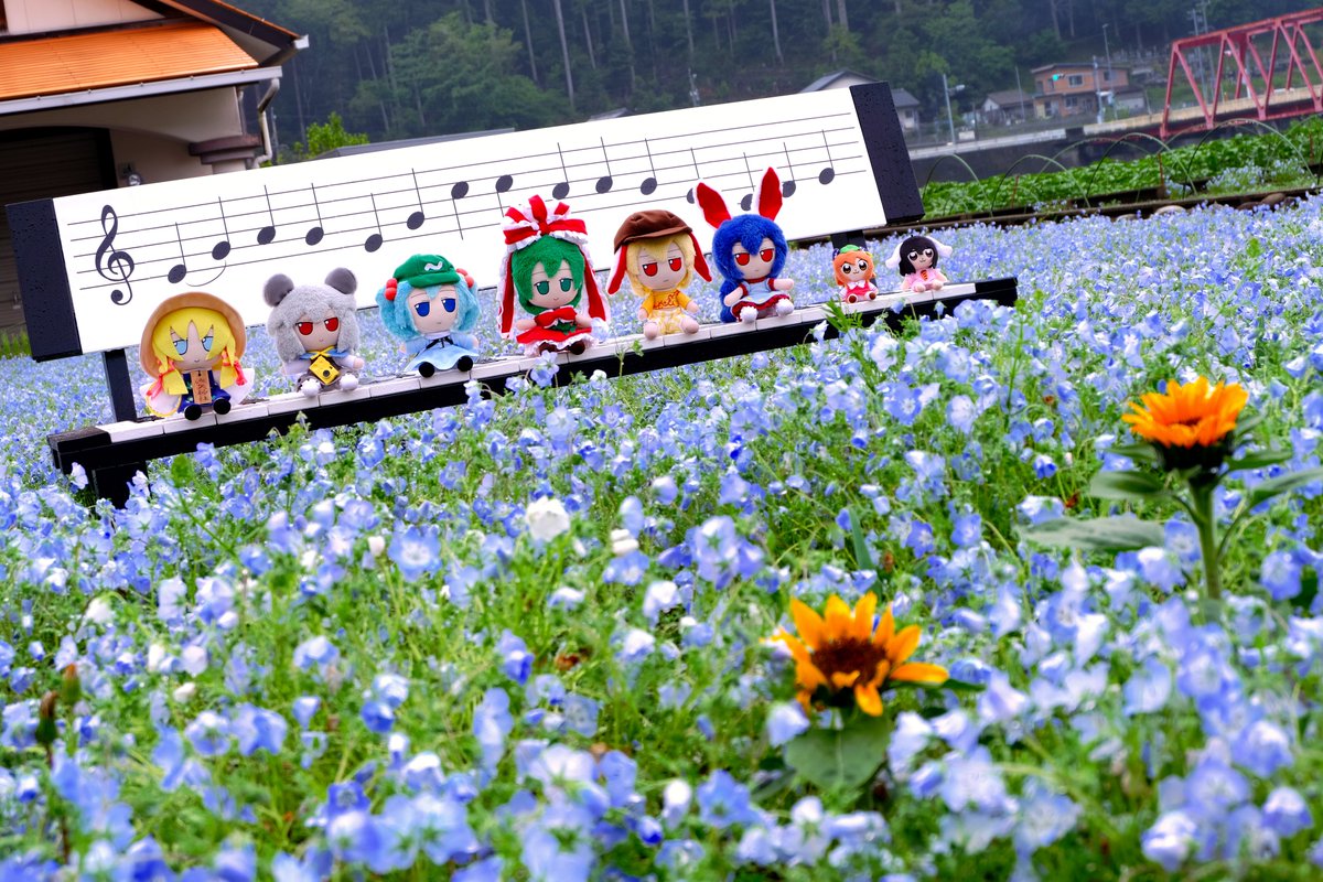 fariwo's tweet photo. I feel very happy to see that Fumofumo love nature and are in contact with it. I will continue to use my life for their happiness. (It's my birthday today🐸) https://t.co/SQCrfnv5dm