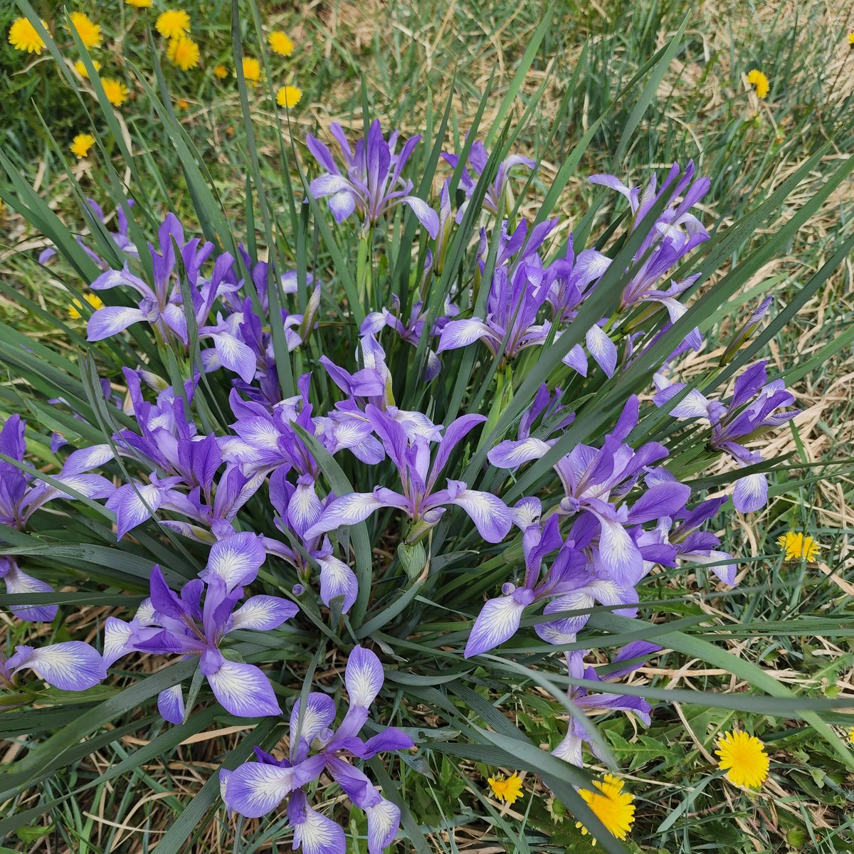 L.Lkhasuren tweet media