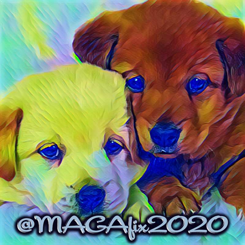 🛡️
<a href="/Amy95474055/">🏝SurfG10🏝</a>
<a href="/Zegdie/">⧼D̼⧽⧼i̼⧽⧼a̼⧽⧼n̼⧽⧼e̼⧽</a>
<a href="/TwinBus/">Twins on a bus🇬🇧🇩🇪🇮🇹🌏</a>
<a href="/KAG45Q/">༄ Dr Jen ✧✧✧ 🍊⚡️🦋🇺🇸</a>
<a href="/F4tUS/">ConnSCG Fight For America® ⭐⭐⭐</a>
<a href="/emma6USA/">Susan</a>
<a href="/45Questor/">Questor</a>
<a href="/NoVotesForRINOs/">♥Kristen♥MAGA♥FJB♥KAG♥</a>
@DSWarriorMom
@BrokenPeach2
<a href="/Compass1768/">🇺🇸❤️🪽Winged_Angel68🪽❤️🇺🇸</a>
<a href="/realMAGALion/">Maga J. Lion</a>
<a href="/dcpurcellgeorge/">Winterkills2</a>
<a href="/Hapalochlaena2/">Hapalochlaena</a>
<a href="/listcode/">listcode</a>
<a href="/MAGAofChrist/">𝓙𝓮𝓷𝓷𝓲𝓯𝓮𝓻 𝔀𝓲𝓽𝓱 𝓒𝓱𝓻𝓲𝓼𝓽✝️</a>
<a href="/MICHAELBUREK8/">MICHAEL BUREK</a>
@1DawnSunrise
@Qu33nB56
<a href="/LegendaryWolF1_/">𝕃𝕖𝕘𝕖𝕟𝕕𝕒𝕣𝕪𝕎𝕠𝕝𝔽</a>
<a href="/TJLakers01/">Tim Lawrence</a>
<a href="/MAGAfix2020/">𝟸𝟶𝟸𝟶✦𝚃𝚁𝚄𝚃𝙷 🇺🇸 𝙲𝚊𝚕𝚕 𝙼𝚎 𝙱𝚛𝚞𝚌𝚎</a>