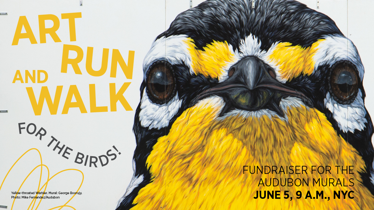 Audubon Society tweet media