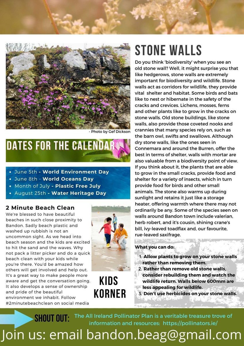 BandonBeag's tweet photo. Our Summer newsletter, please share and enjoy 👇

Sign up to our mailing list by emailing 'subscribe' bandon.beag@gmail.com https://t.co/j5bnuLpUjm
