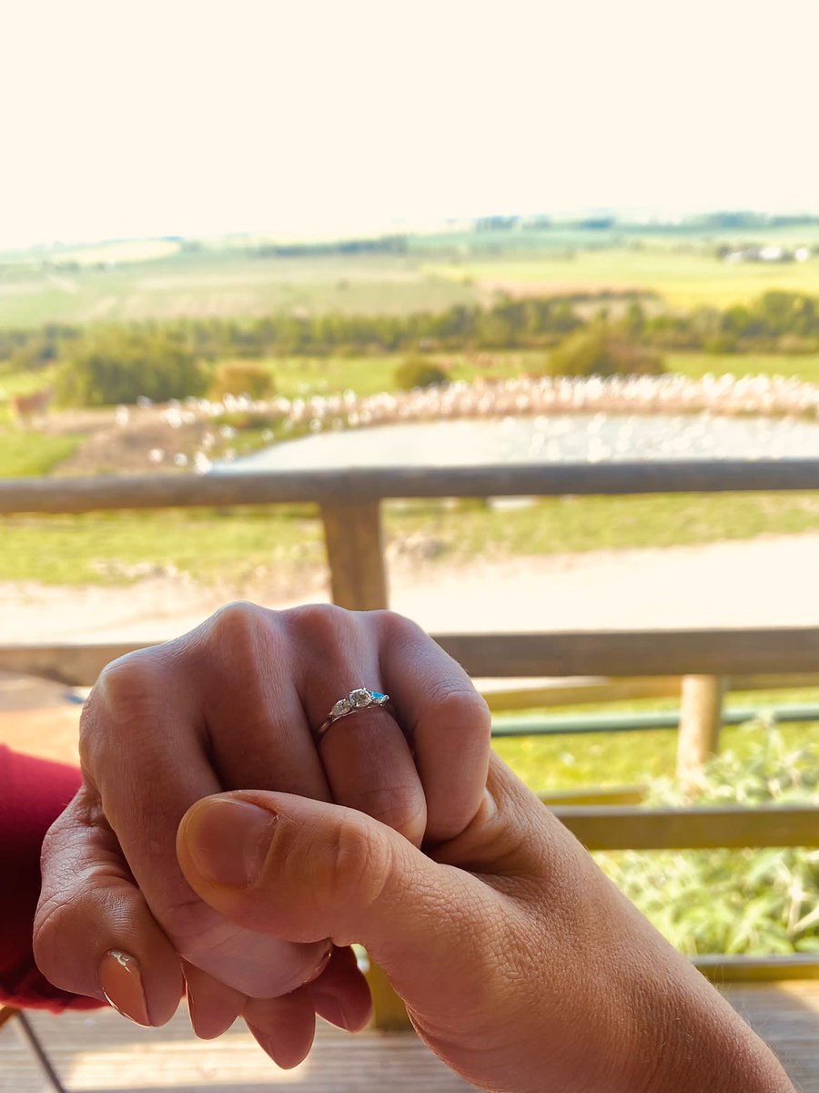 Owen Bradley tweet media