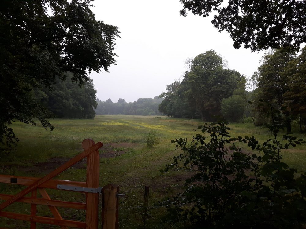 Deelnemers bijeenkomst zien oplossingen voor verdroging beekdalgebied
renkumsbeekdal.nl/deelnemers-bij…