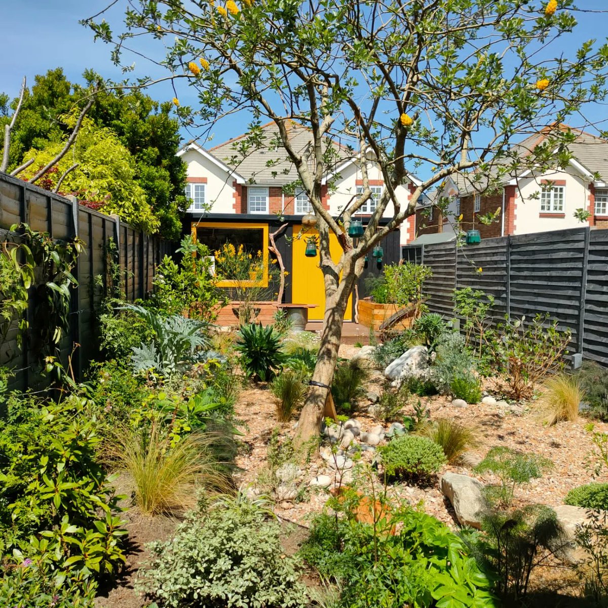 The garden now. From episode 1 of the Great Garden Revolution on <a href="/Channel4/">Channel 4</a>. Looks lovely I think. I don't often see how a garden change after I've left!  Ep2. Repeated late tonight and its now finally on #All4
#gardenrevolution