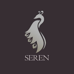 kodi_guide's tweet image. The Seren Kodi Addon has received a huge update with a better performance and brand-new settings. We have updated our ultimate Seren Guide which contains the best settings and tips for the addon. #Kodi #Addon #Seren #Tutorial #Guide
kodi-guide.com/seren-kodi-add…