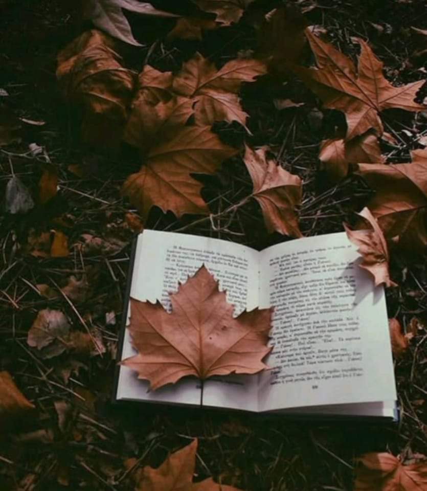 CemrCemile's tweet photo. ömür, bin sene bile sana mühlet verse, nefsin her gün yeni bir bahane bulur. https://t.co/FSsDo6Ffjw