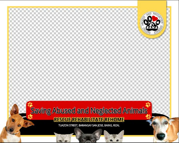 SANAShelter's tweet photo. Can't get enough to our new template for our daily announcement! 🥰😍
@SANAShelter
Saving Abused Neglected Animals https://t.co/hMDJLuHQzC