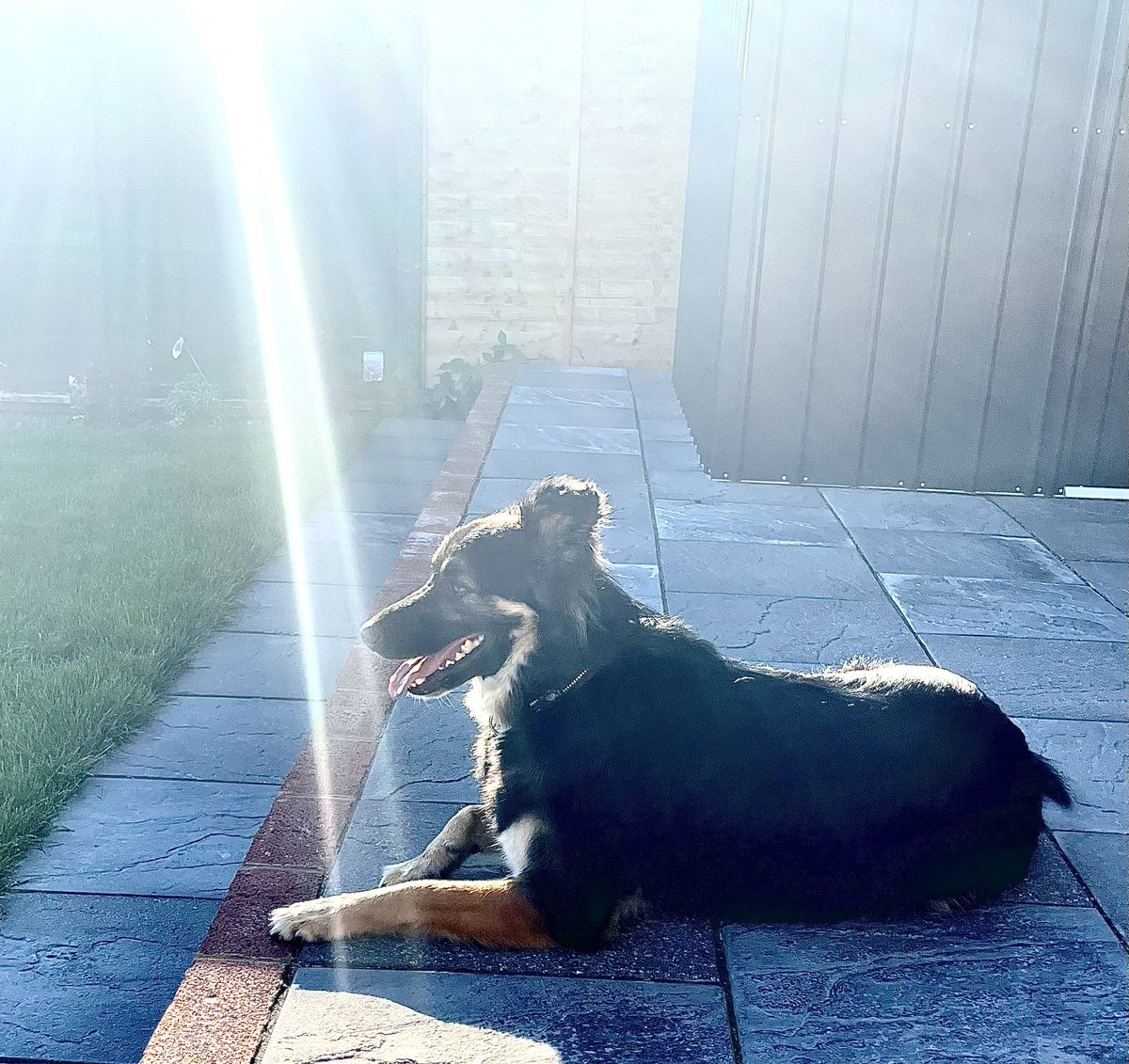 KickLizard7's tweet photo. Jack narrowly missing out on another religious revelation again…
#RescueJack #summer #books #bookstagram #booksofinstagram #authorsofinstagram #writersofinstagram #booktok #satire #mystery #mysterybooks #mysterywriter #crimebooks #kjheritage https://t.co/JfxboYZSQI