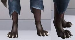 Luna_VellaSimmy's tweet photo. OK!! So i feel they went with more of Lycan wolf look for these which.. im not mad at but ... its the feet for me lol the feet should of been more... wolf like and i think that would change the look so so much #Sims4 #TheSims4 #TheSims #simswolf #sims4werewolf https://t.co/WKg4sgtMrV