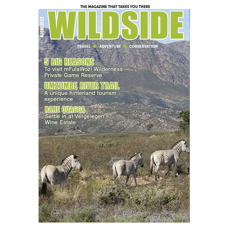 WildsideM's tweet image. Packed with exciting destinations and experiences, the June edition of Wildside Magazine will be available online from 03 June at wildsidesa.co.za