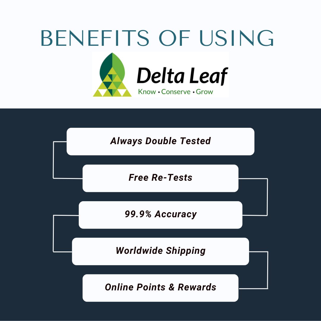 Let science transform how you manage your plants! Genetic testing allows you to glimpse into the genetics of a plant long before you’re able to observe what they actually will look like. 

​Unlock the full potential of your harvest with Delta Leaf!

#deltaleaf #cannabis #lab