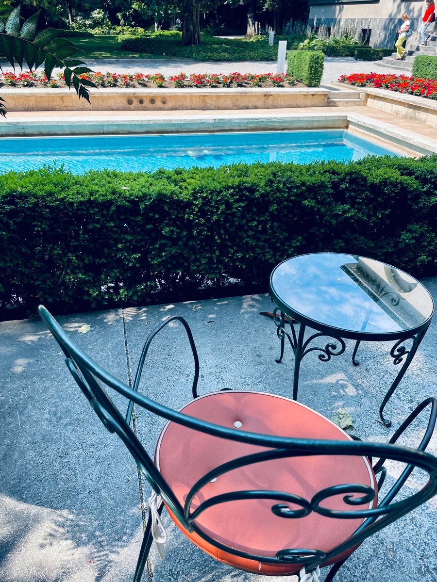 Laura Amodeo tweet media