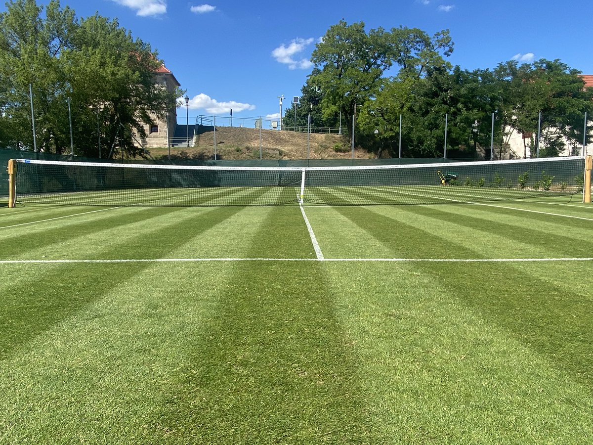 Hungarymen's tweet photo. The new grass tennis court in Hungary🎾Mowing , Line makeing  done✔️  @rigbytaylor https://t.co/I22FuszR2b
