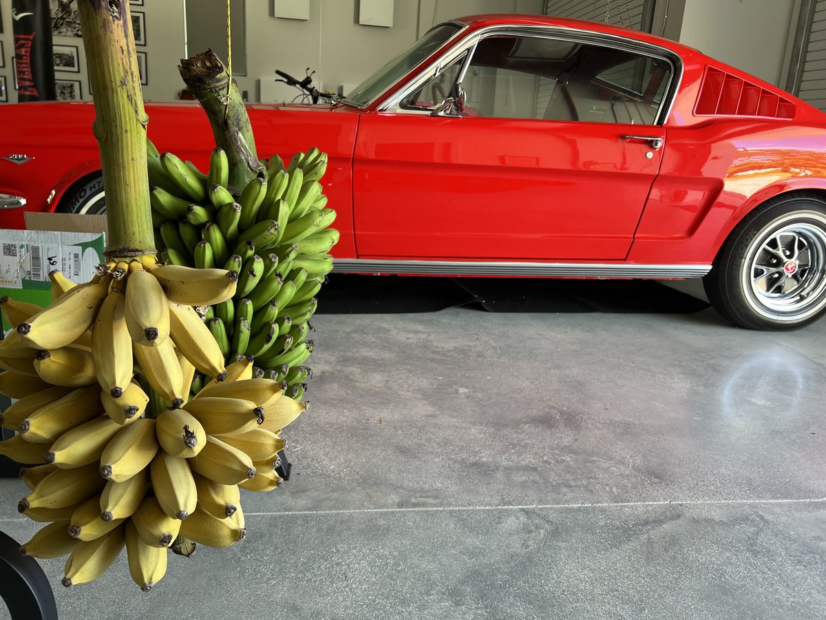 Alexis Ohanian 🗽 tweet media