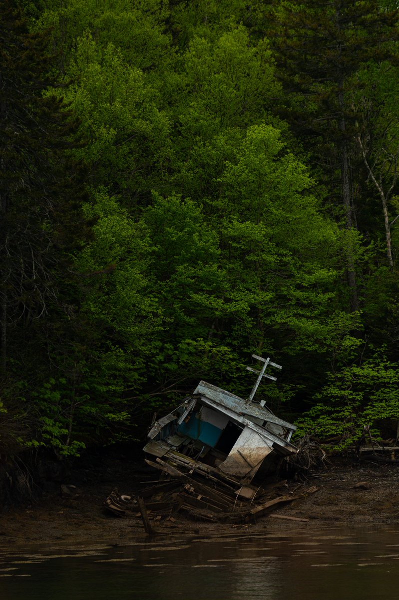 vicandreozzi's tweet photo. Shipwreck • New Brunswick, Canada • #canada #photographer #nikonphotography #roamtheplanet https://t.co/DeUJWm0oO4