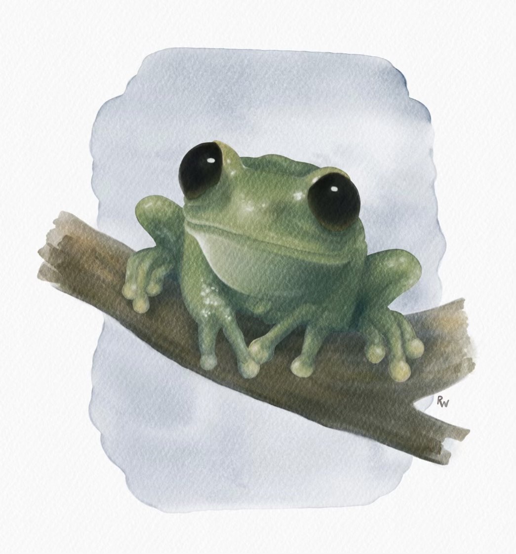 Dr. Rose Wayne tweet media