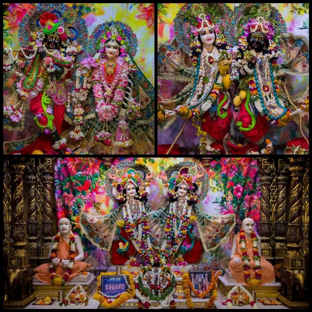 vrajaviharinis's tweet photo. 🤩😍DAILY DARSHAN😍🤩
(Iskcon Vrindavan)
(Iskcon Mayapur)
(Iskcon Pune)
(Iskcon Kolkata)
#lordkrishna #srimatiradharani #panchatatwa #jaijaganathdev #jaisubhadramaharani #jaibalaramdev #dailydarshan #auspicious #beauty #jaigaurnitai #jaigirirajbhagvan #jaisrinrishangadev #Iskcon https://t.co/UtGBVjKFLJ