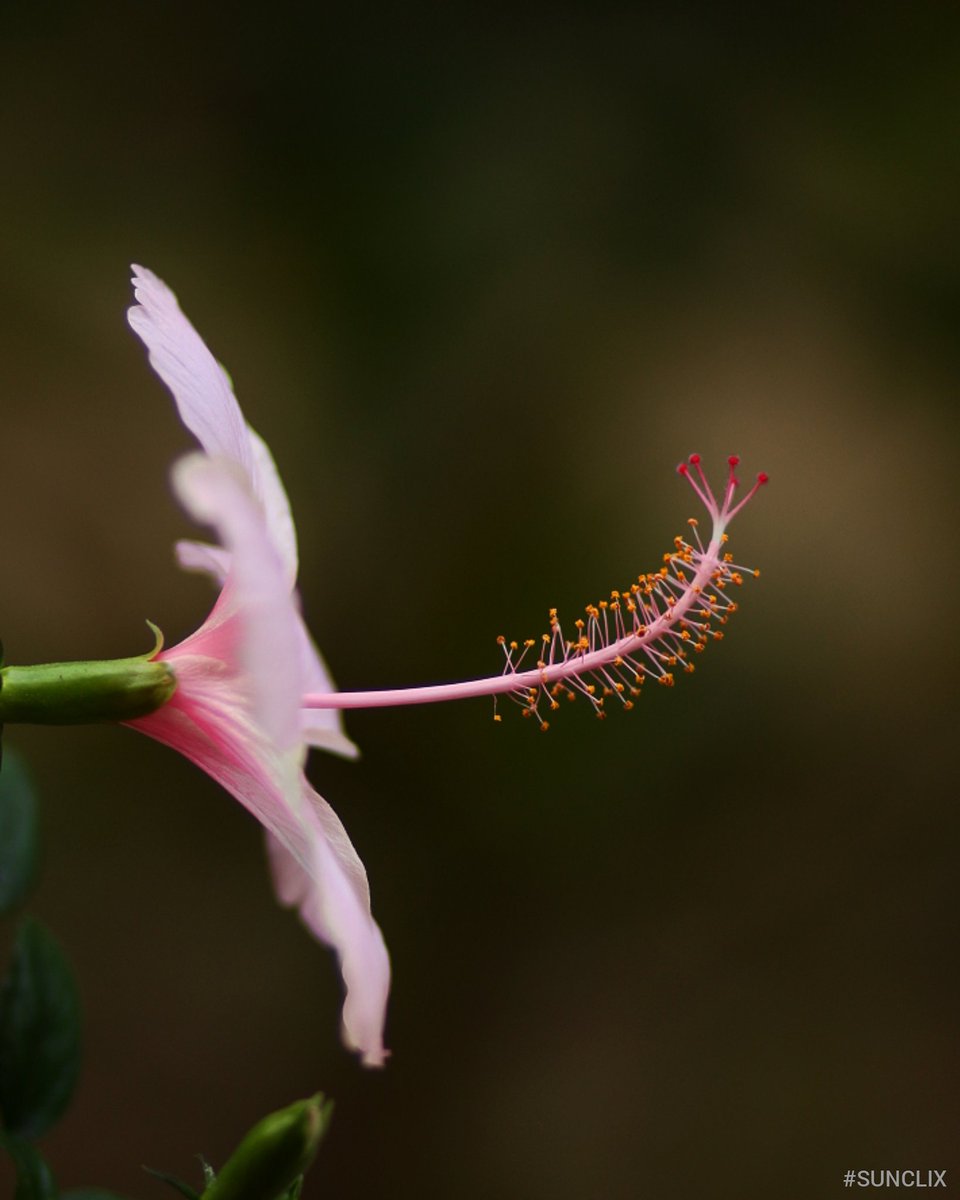 sundarmercury's tweet photo. It's all about love..๐๐๐
#sunclix
#NaturePhotography
#nature
#PicOfTheDay
#PhotoOfTheDay https://t.co/Lm0zyAcntU