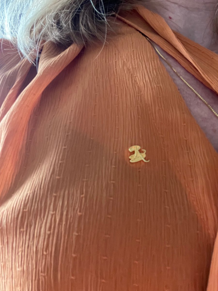 Idag åkte rektorsnålen på när <a href="/Stockholmsstad/">Stockholms stad</a> uppmärksammade oss som examinerats från rektorsutbildningen 🌟 Stolt över att få vara skolledare i Stockholms stad där vi med stort engagemang gör skillnad för våra elever varje dag!