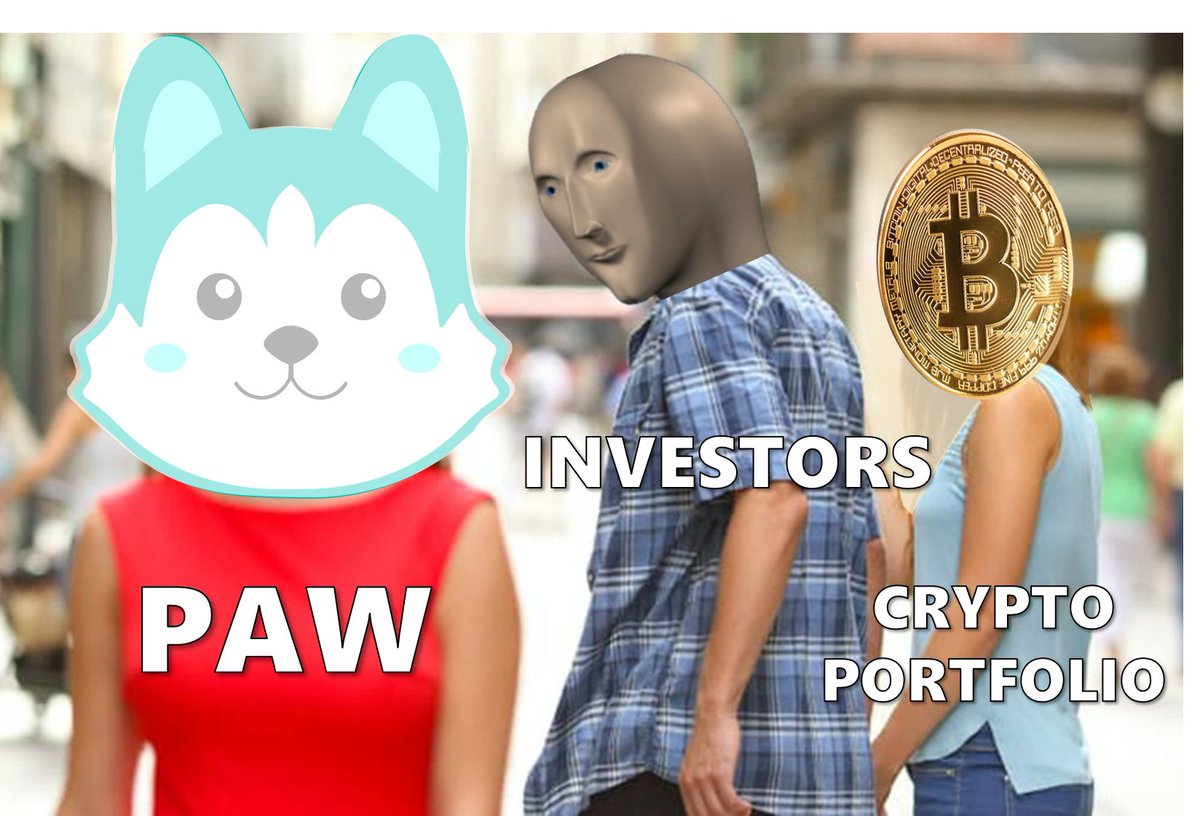 Pawstronaut tweet media