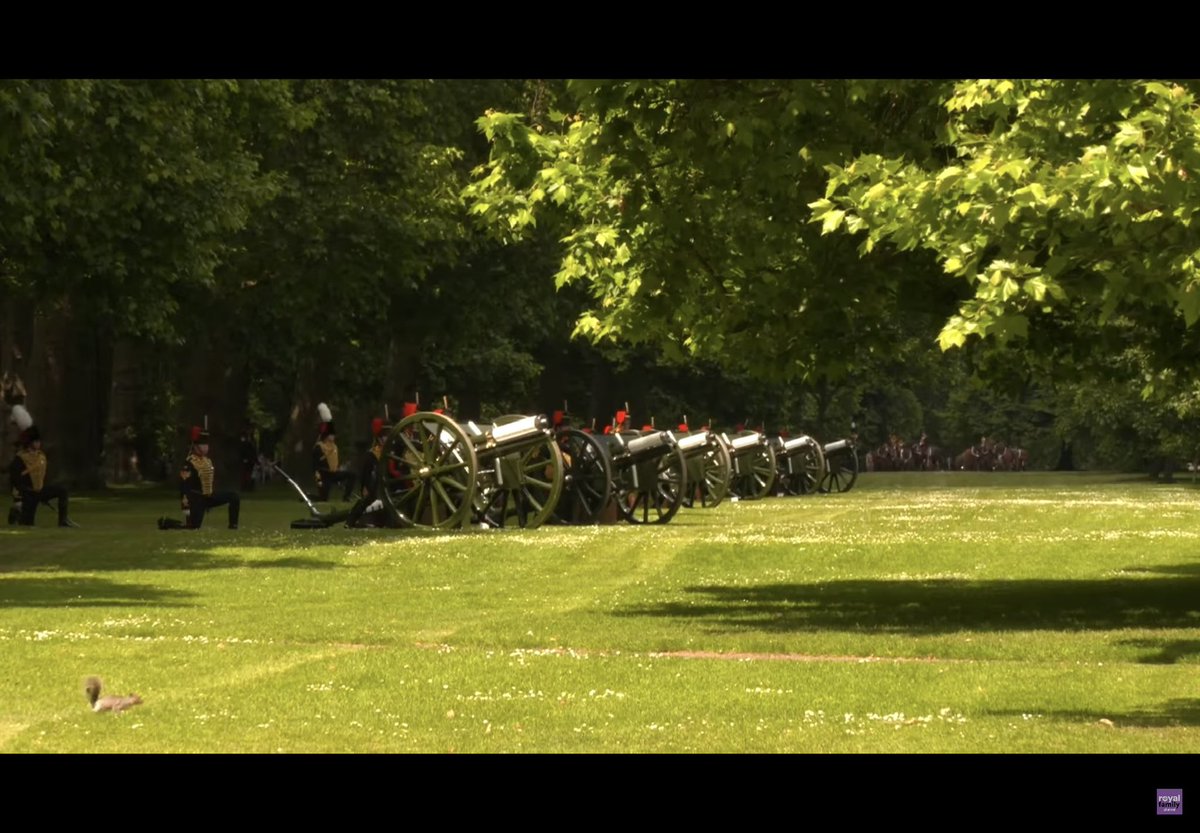 Mandy Griffin ⚒️🇬🇧🐩🐩🐈 tweet media