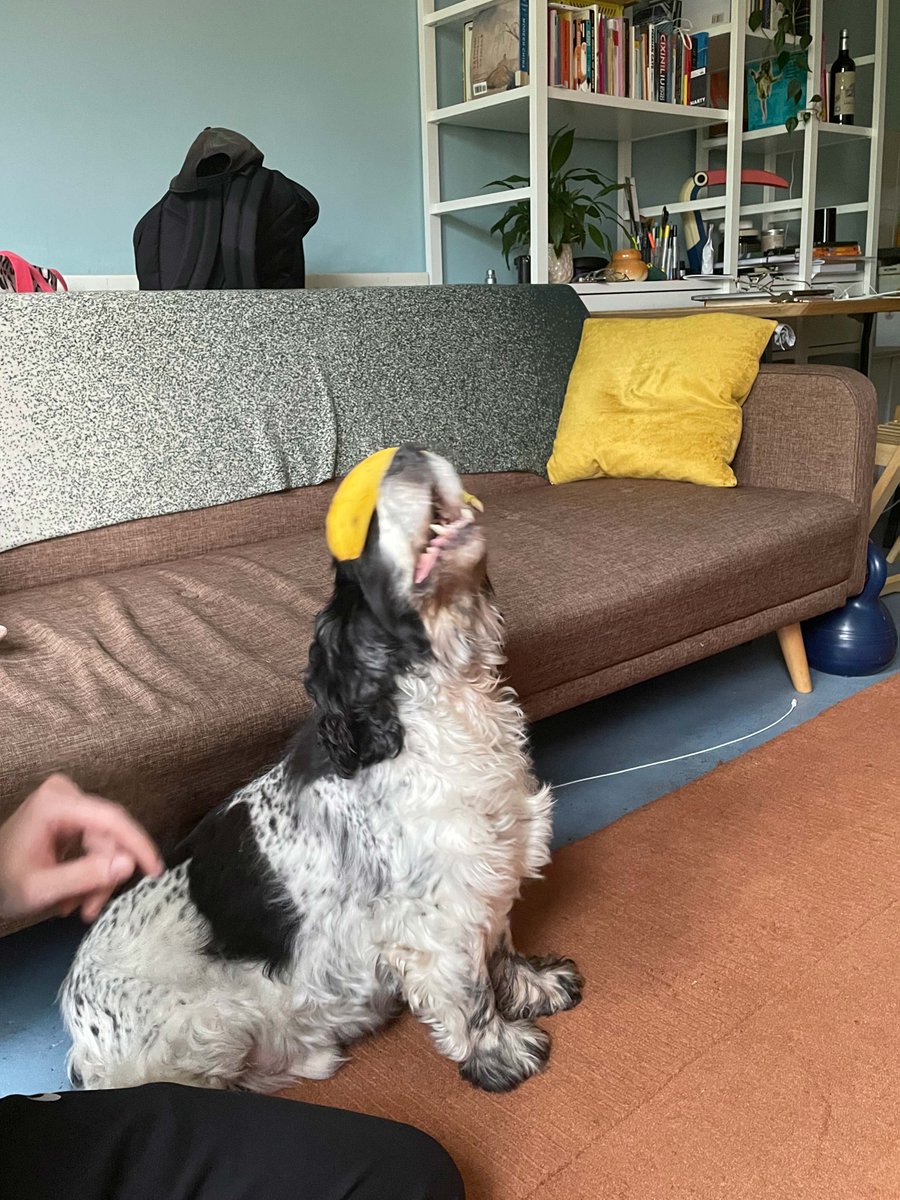 Don't kiss me, I'm in training 🍌