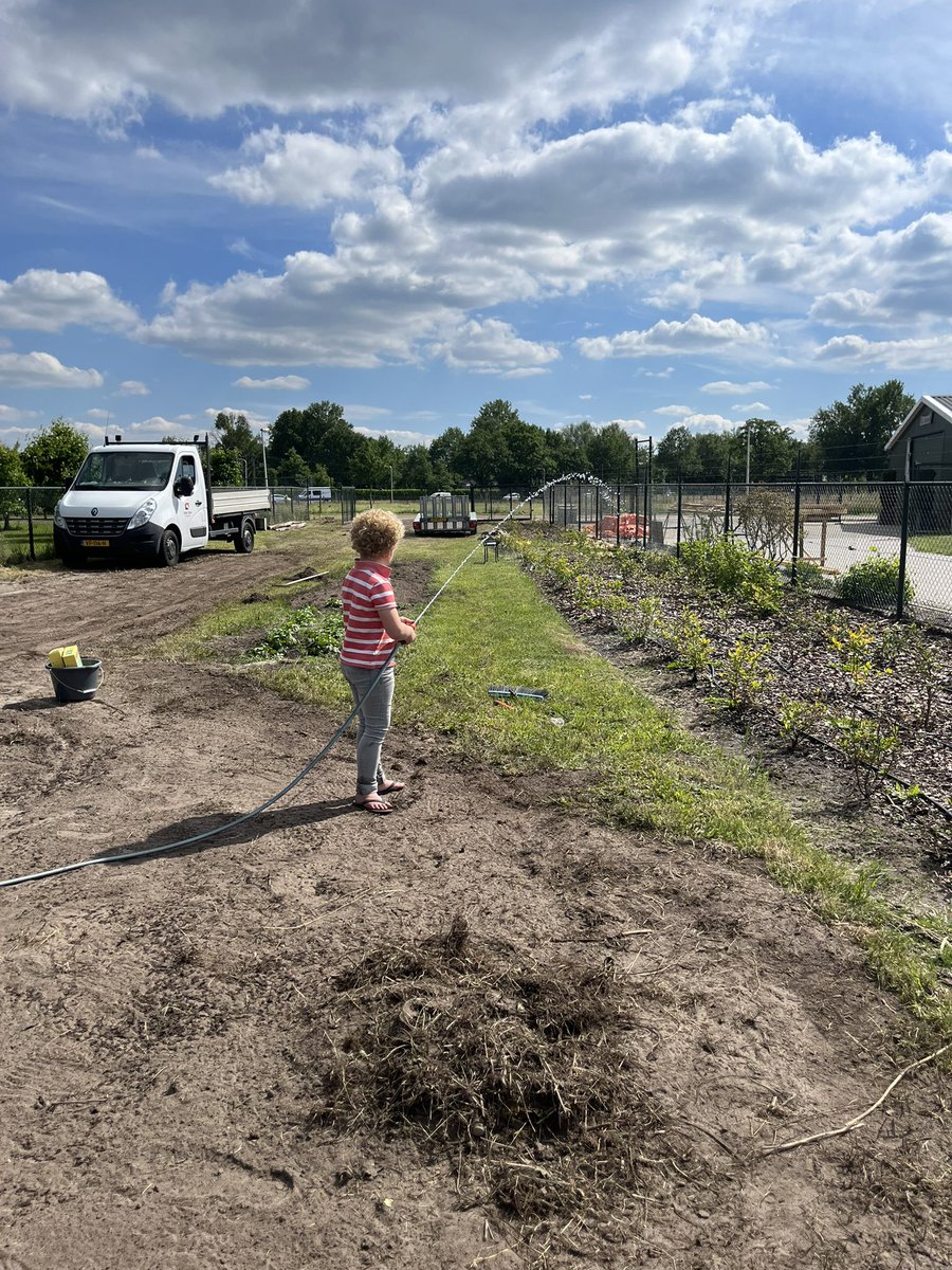 gjknol's tweet photo. Lorenzo druk met de plantage #blauwe en #rodebessen we hopen dit jaar op een mooie oogst , #buitenzijn #genieten https://t.co/6QrUkcQQ5n