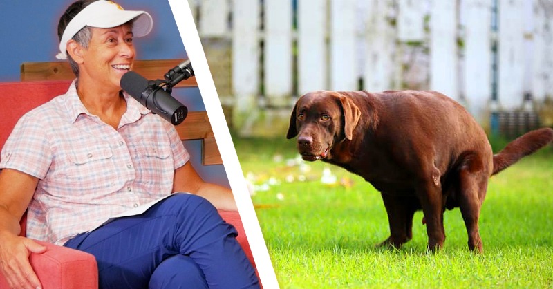 AllStarVet's tweet photo. Welcome to another episode of The Veterinary Roundtable! In this episode, the ladies answer a few "Would You Rather" questions, discuss two euthanasia cases, answer a question from LaDonna Davis, and more!