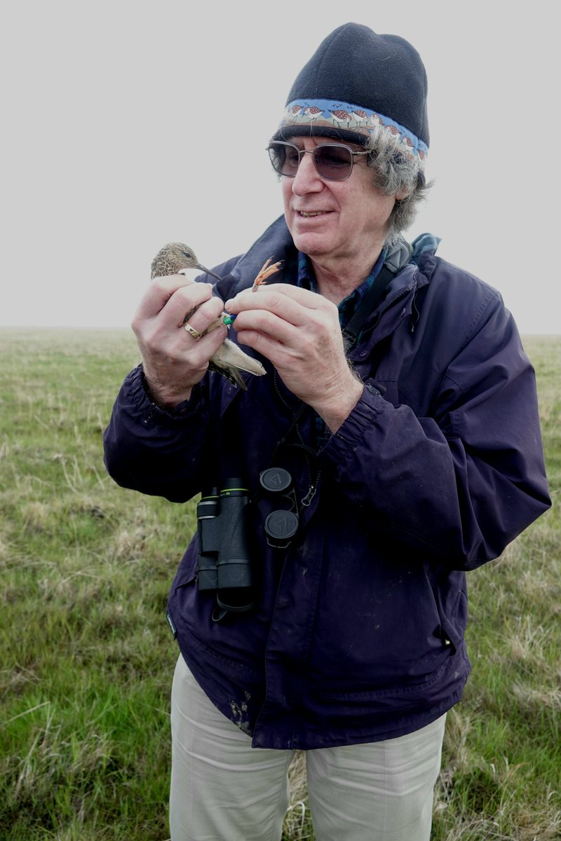 KoivulaKari's tweet photo. The Master of Ruffs Dov Lank is visiting our #ruffproject's and his own former study site in Liminganlahti, Finland. Some nice fieldwork and discussions with new generation of waderlogists @HannaAlgora @BelojevicJelena @Raphaele1706 #ornithology #waders #shorebirds https://t.co/AePeIDTqZ1