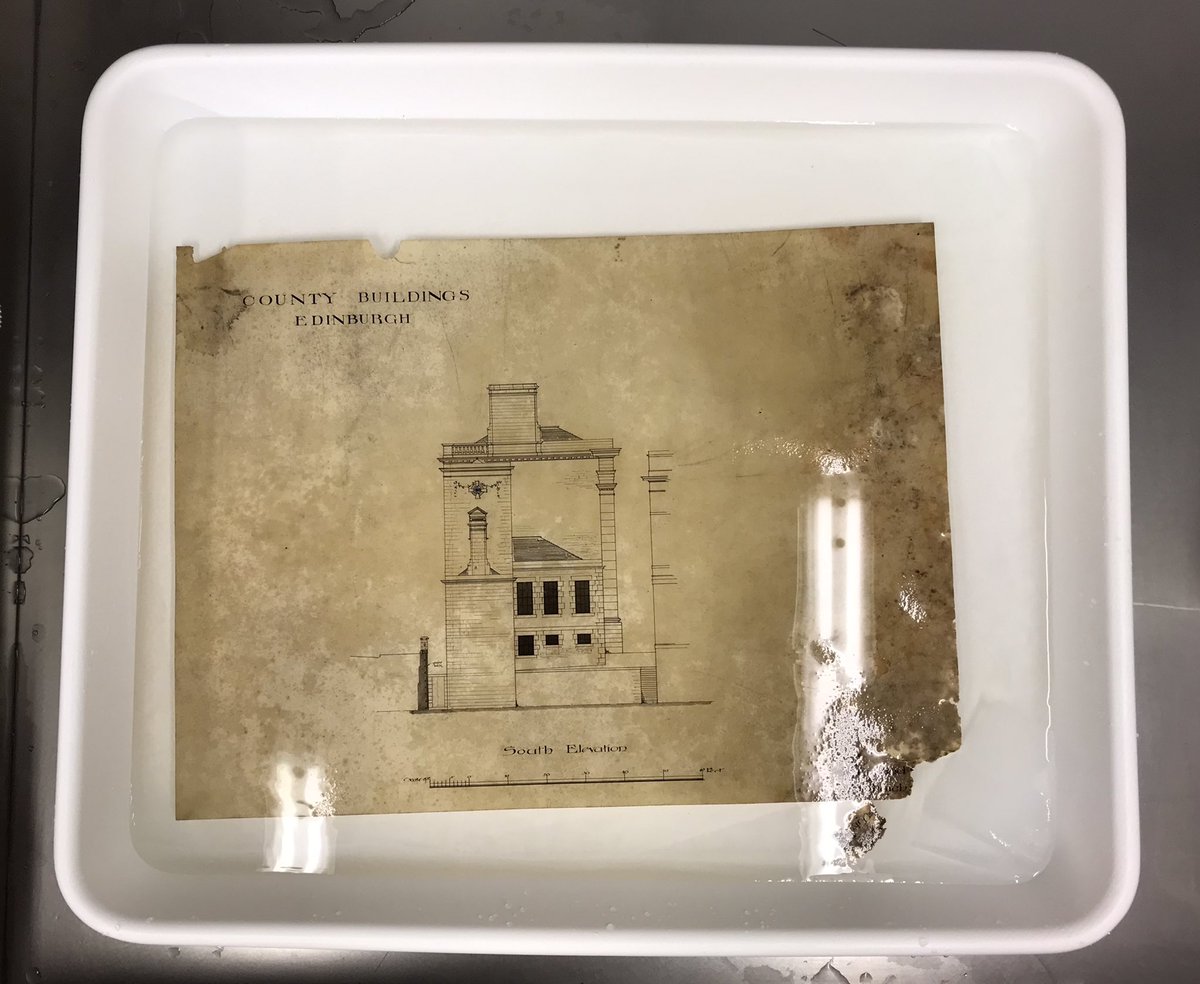 Tizzy Hepher tweet media