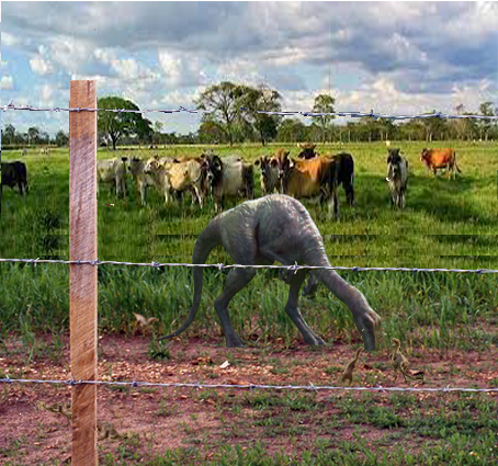 Enrique González tweet media
