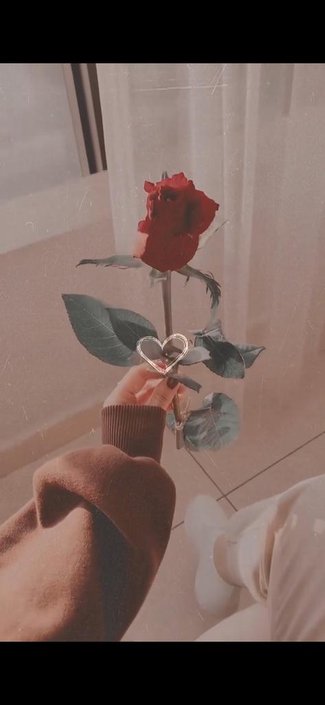 أّنِتٌـبًهّـ!!  لَيسِ آلَجّمًيَعٌ مًنِ يَسِتٌحًقُ آحًتٌرآمًکْ 
فُهّنِآکْ مًنِ يَسِتٌحًقُ تٌجّآهّلَکْ
حتى يِّحًتٌـرمً نِفُـسِـهّـ أّوٌلَأّ 🍂🪶