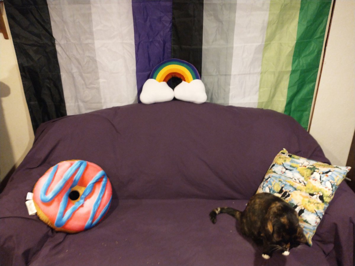 It's always Pride month in my living room. #acepride #aropride #asexual #aromantic #acearo #Pride2022 

Also cat.