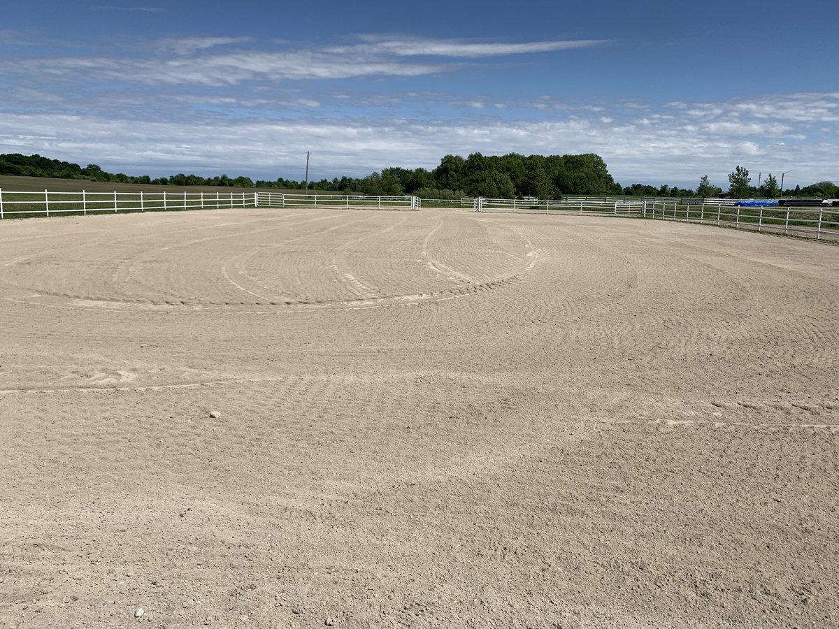 2 more sleeps before the #clintonspringfair miniture horse show ⁦<a href="/REACHHuron/">REACH Huron</a>⁩