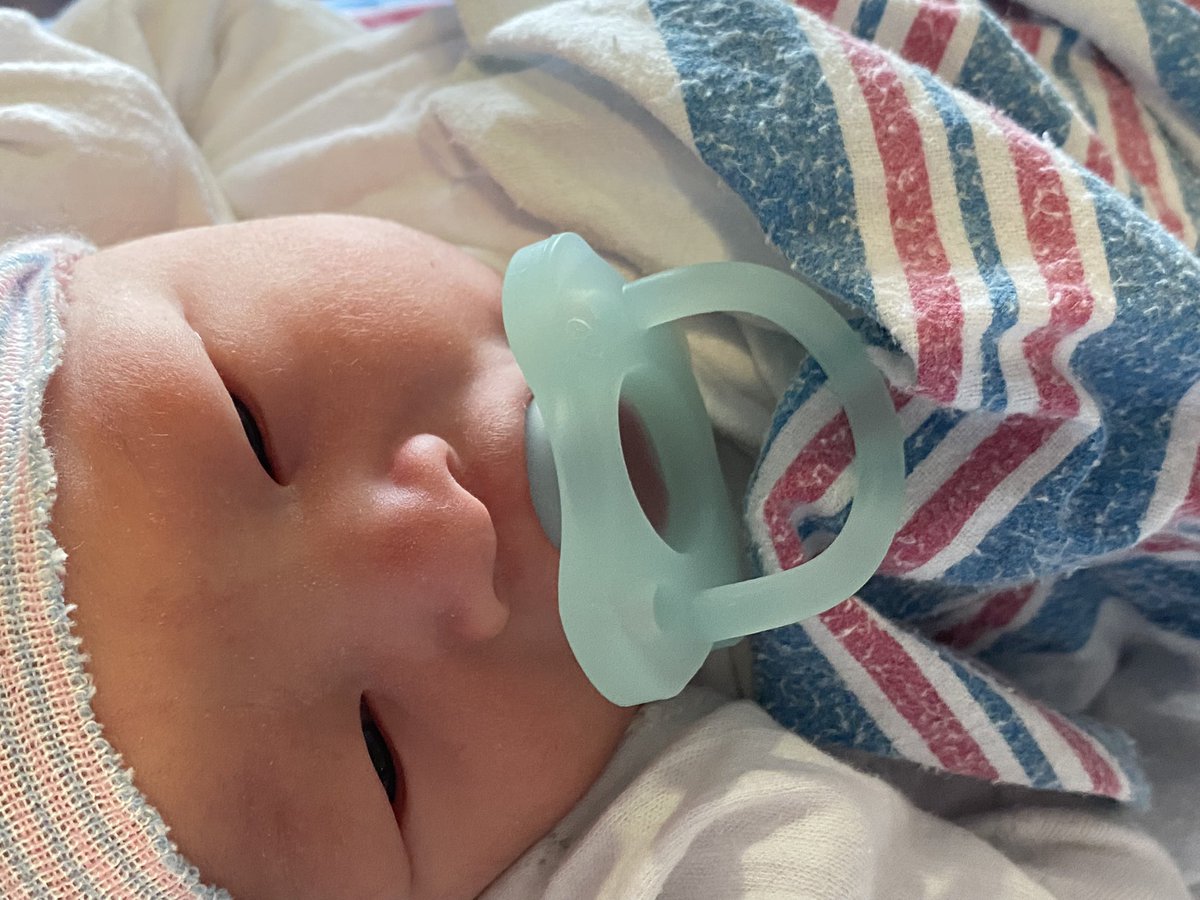 EnigmaticRose4 🌹 tweet media